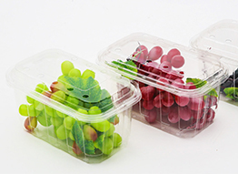 J. K. Agro Packers - Packing Punnets 