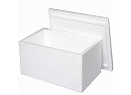 J. K. Agro Packers - grapes